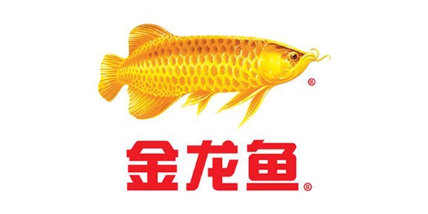 永坤減速機(jī)廠家客戶見證之金龍魚食用油全自動生產(chǎn)線