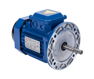 Vertical three-phase AC asynchronous motor