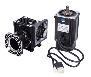 Servo NMRV reduction motor