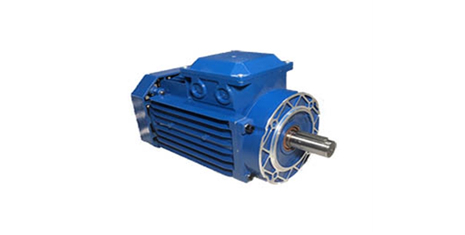 YE3系列三相異步電動(dòng)機(jī)B5