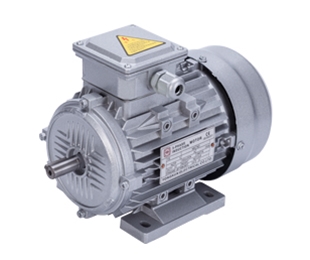 B3臥式三相異步電動機