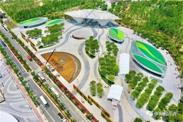 上海|親自體驗中國花卉界的“奧林匹克”盛宴!