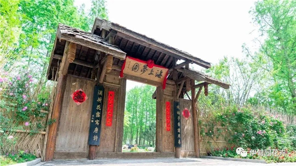 上海|親自體驗中國花卉界的“奧林匹克”盛宴!