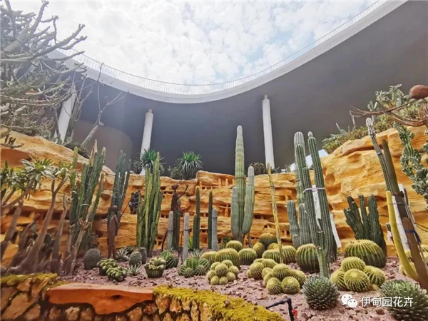 上海|親自體驗中國花卉界的“奧林匹克”盛宴!